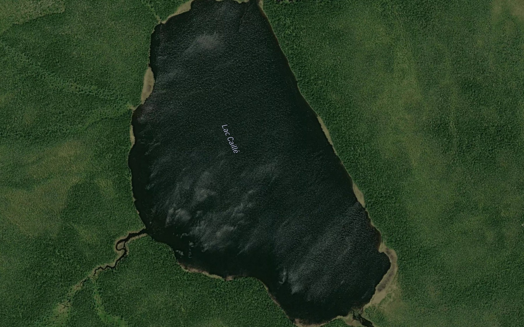 Satellite map of the Lac Caille