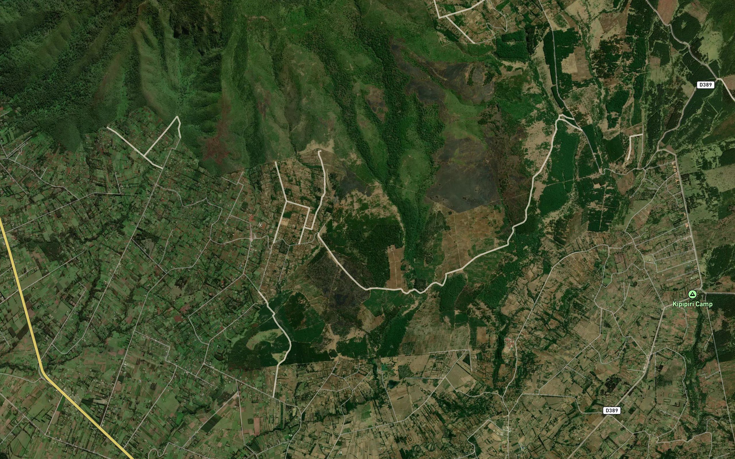 Kangoyo