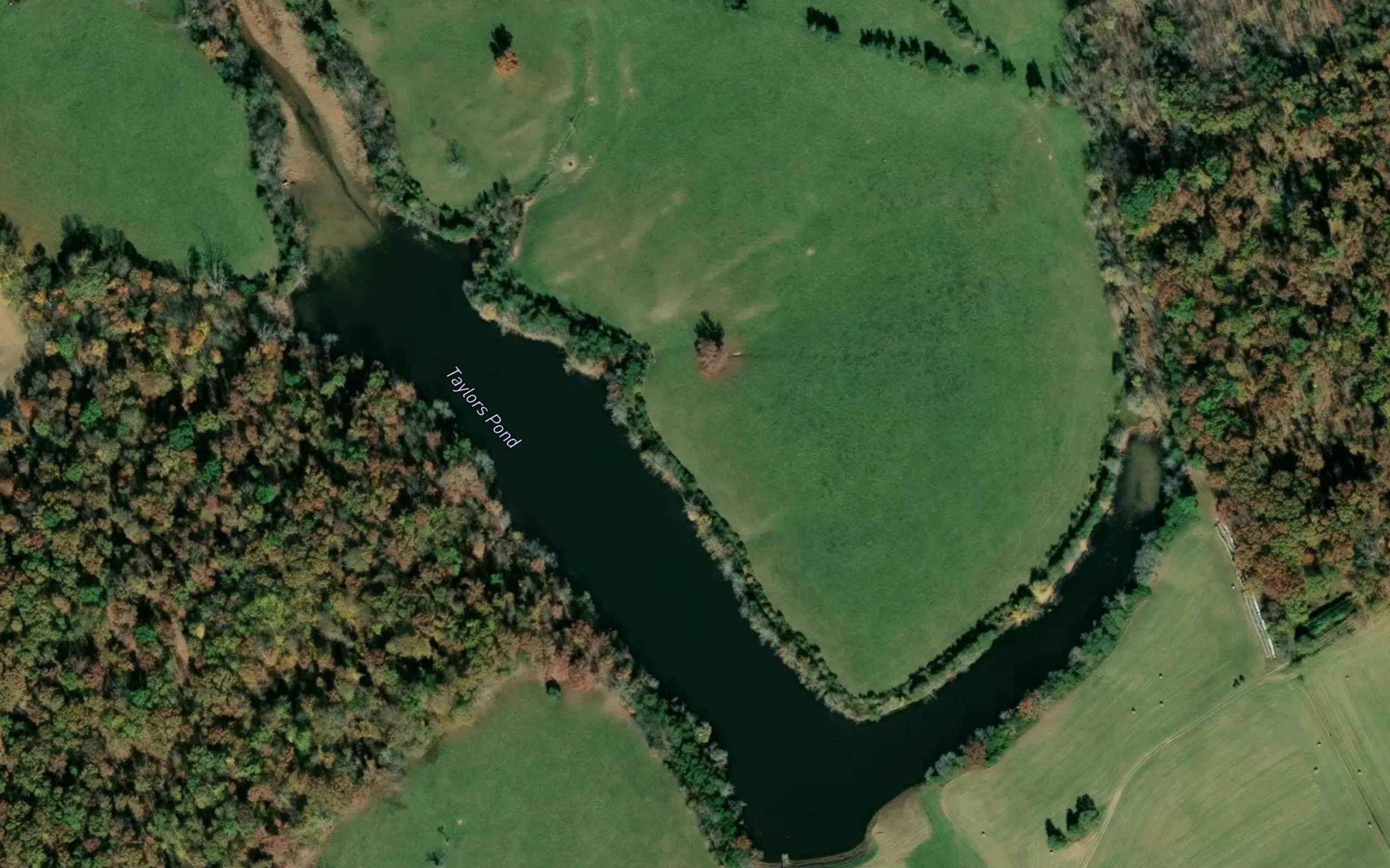 Taylors Pond
