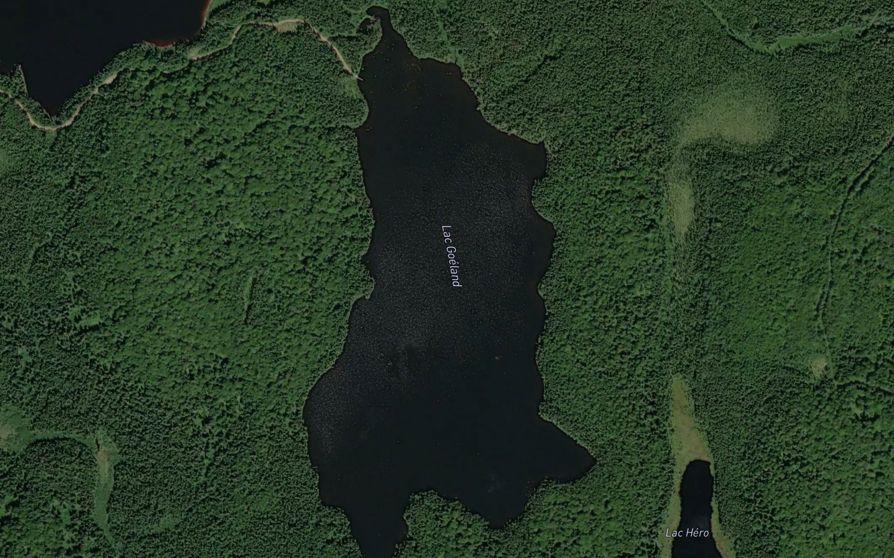 Satellite map of the Lac Goeland