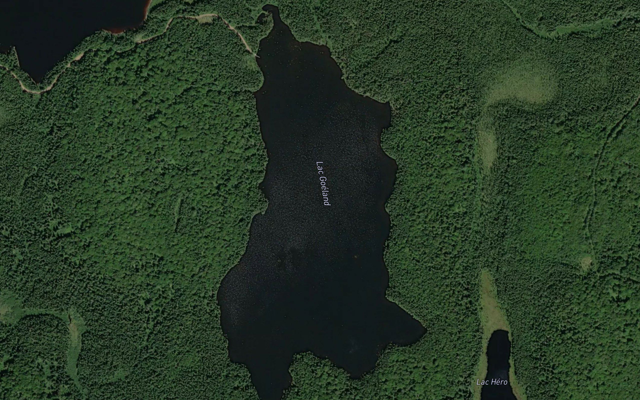 Lac Goeland