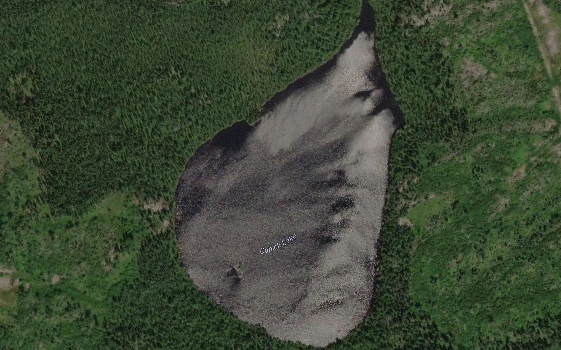 Satellite map of the Conick Lake