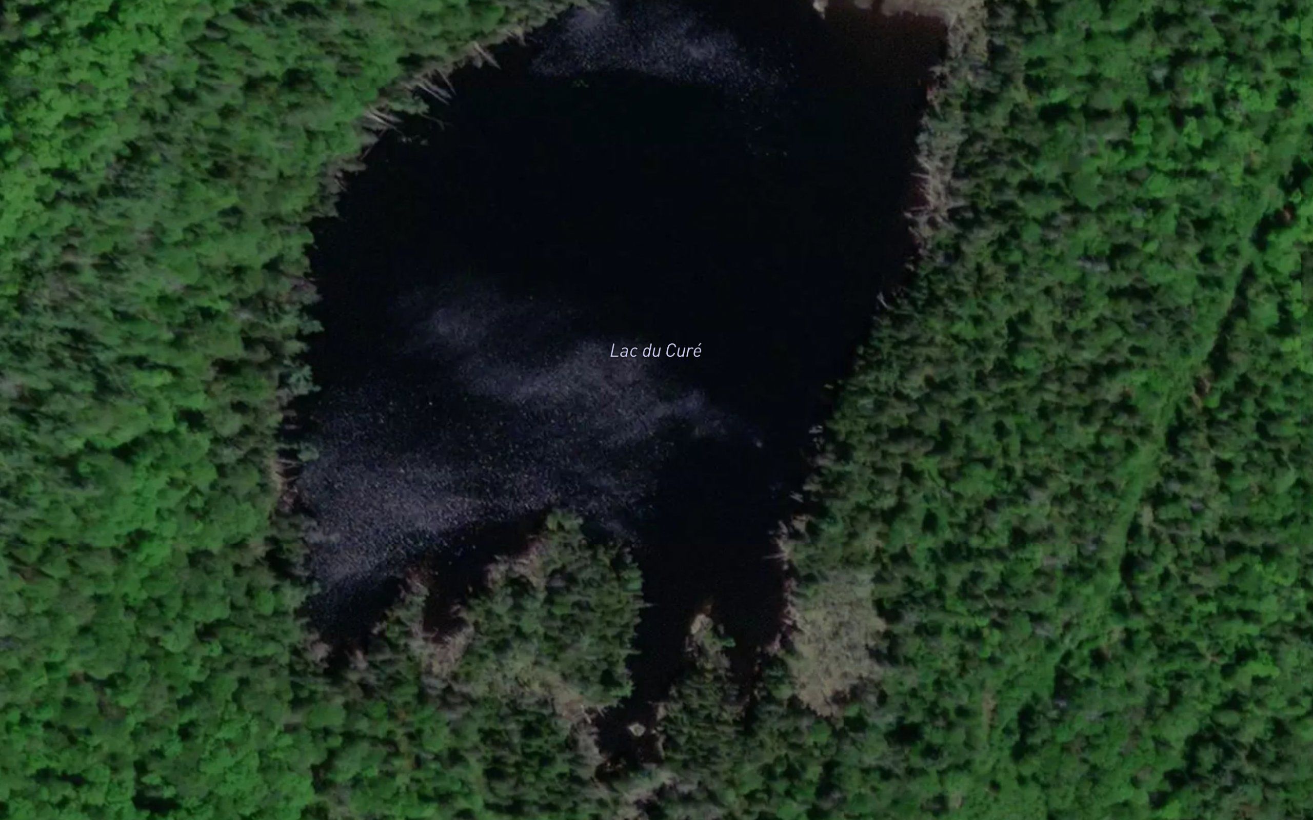 Lac du Cure