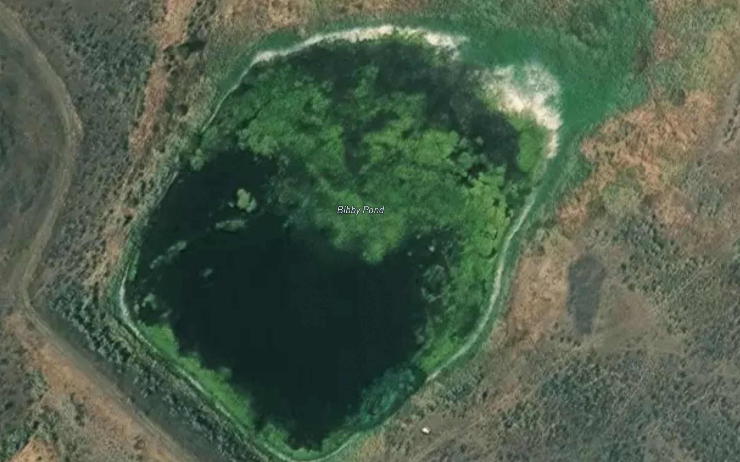 Bibby Pond