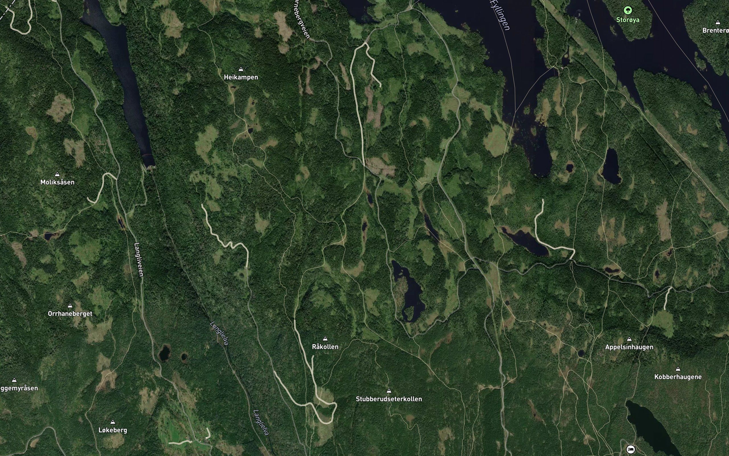 Hansekulpen