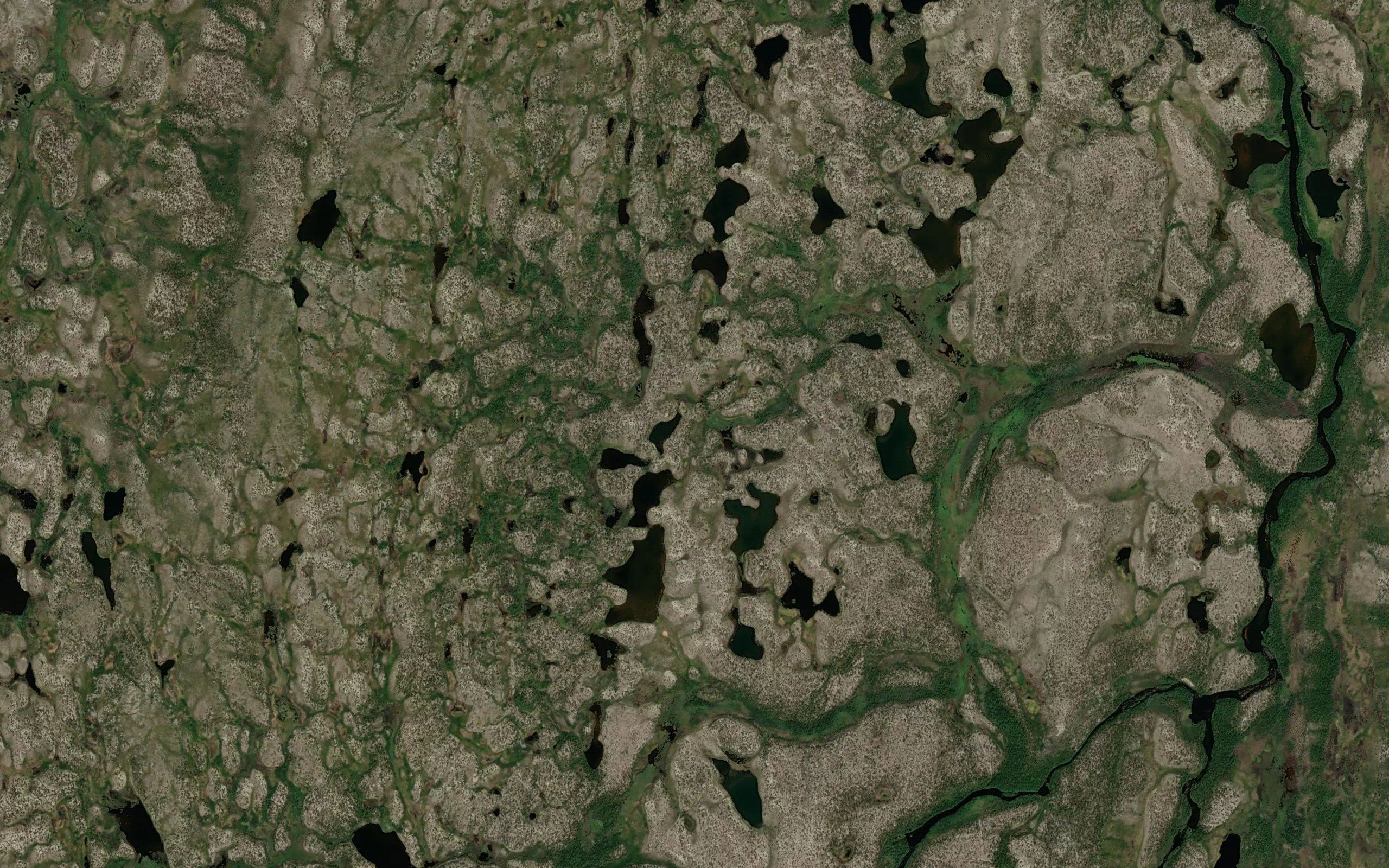 Rappesjakka