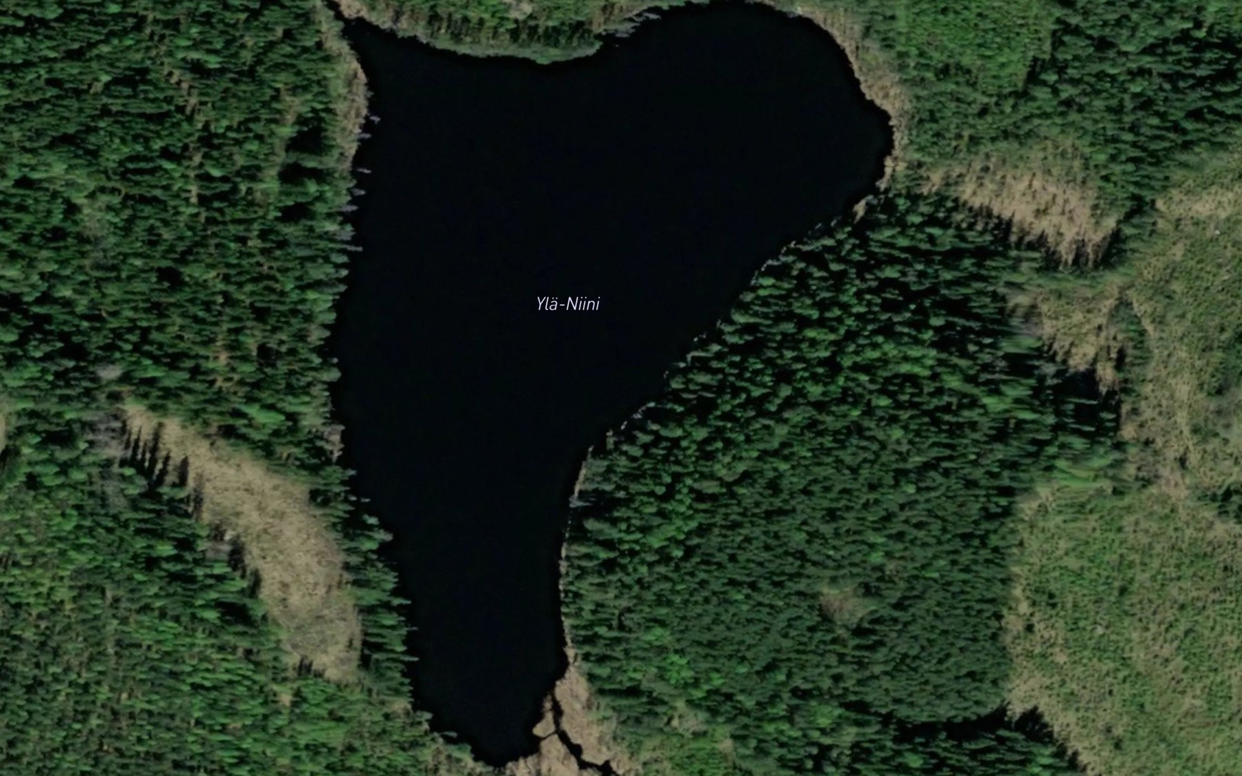Satellite map of the Yla-Niini