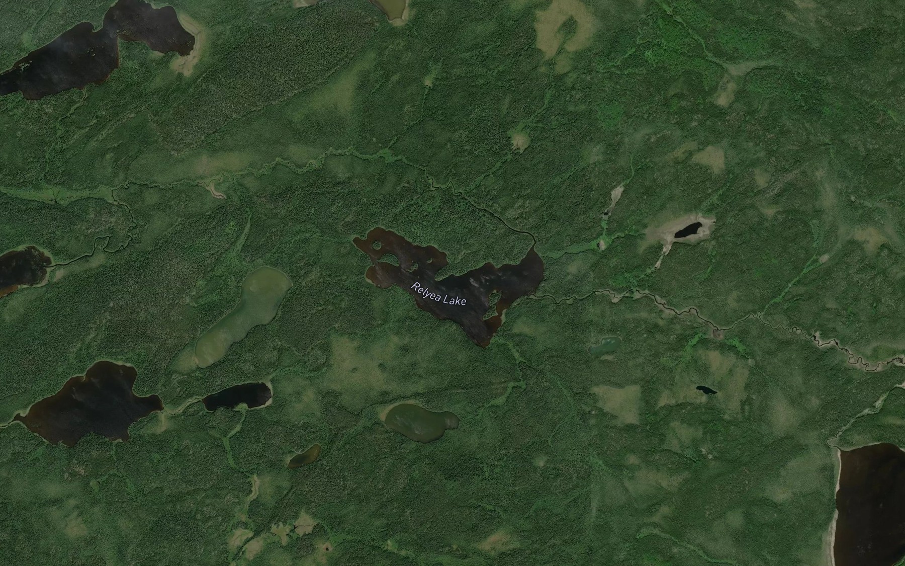 Satellite map of the Relyea Lake