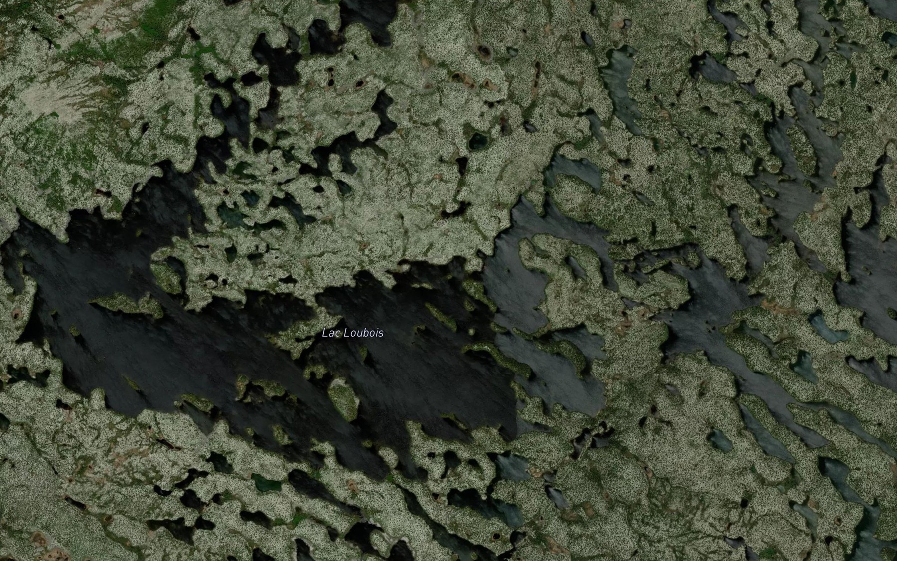 Satellite map of the Lac Loubois