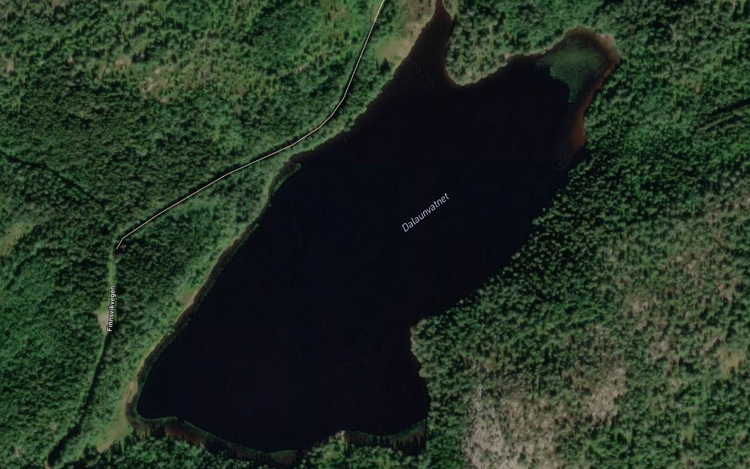 Dalaunvatnet