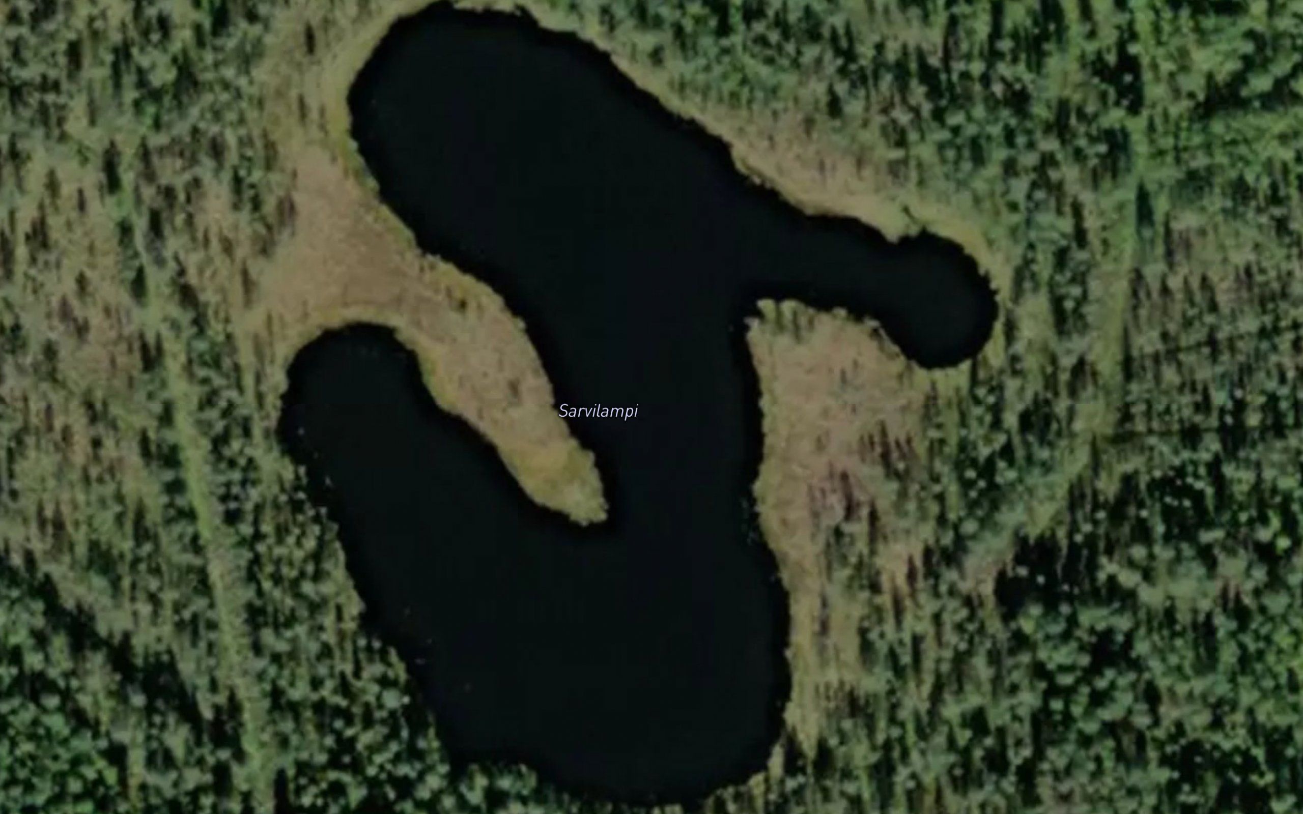 Sarvilampi