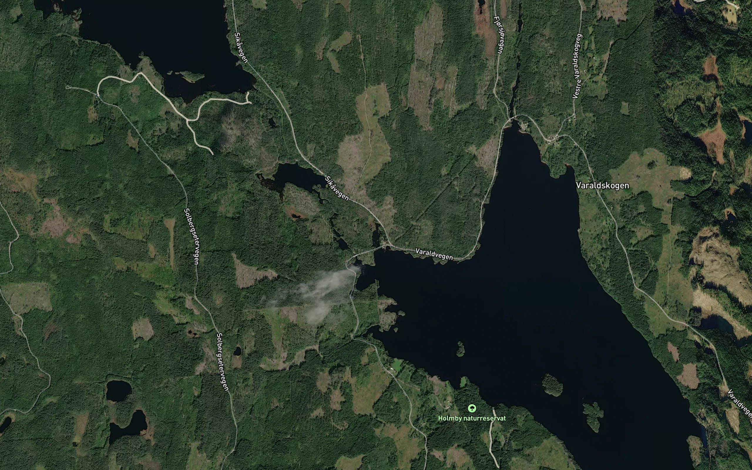 Kutjennet