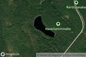 Haukilampi