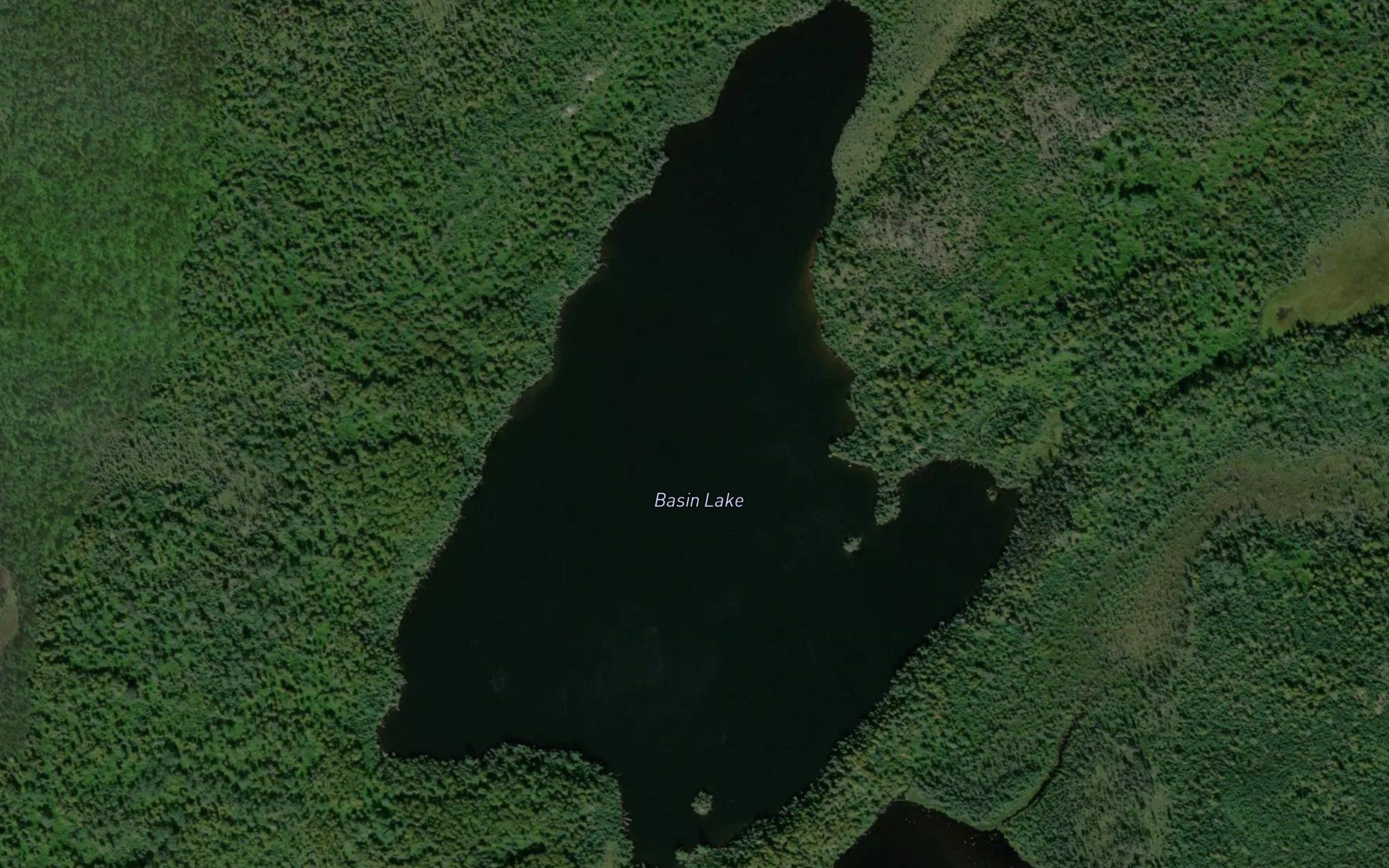 Basin Lake
