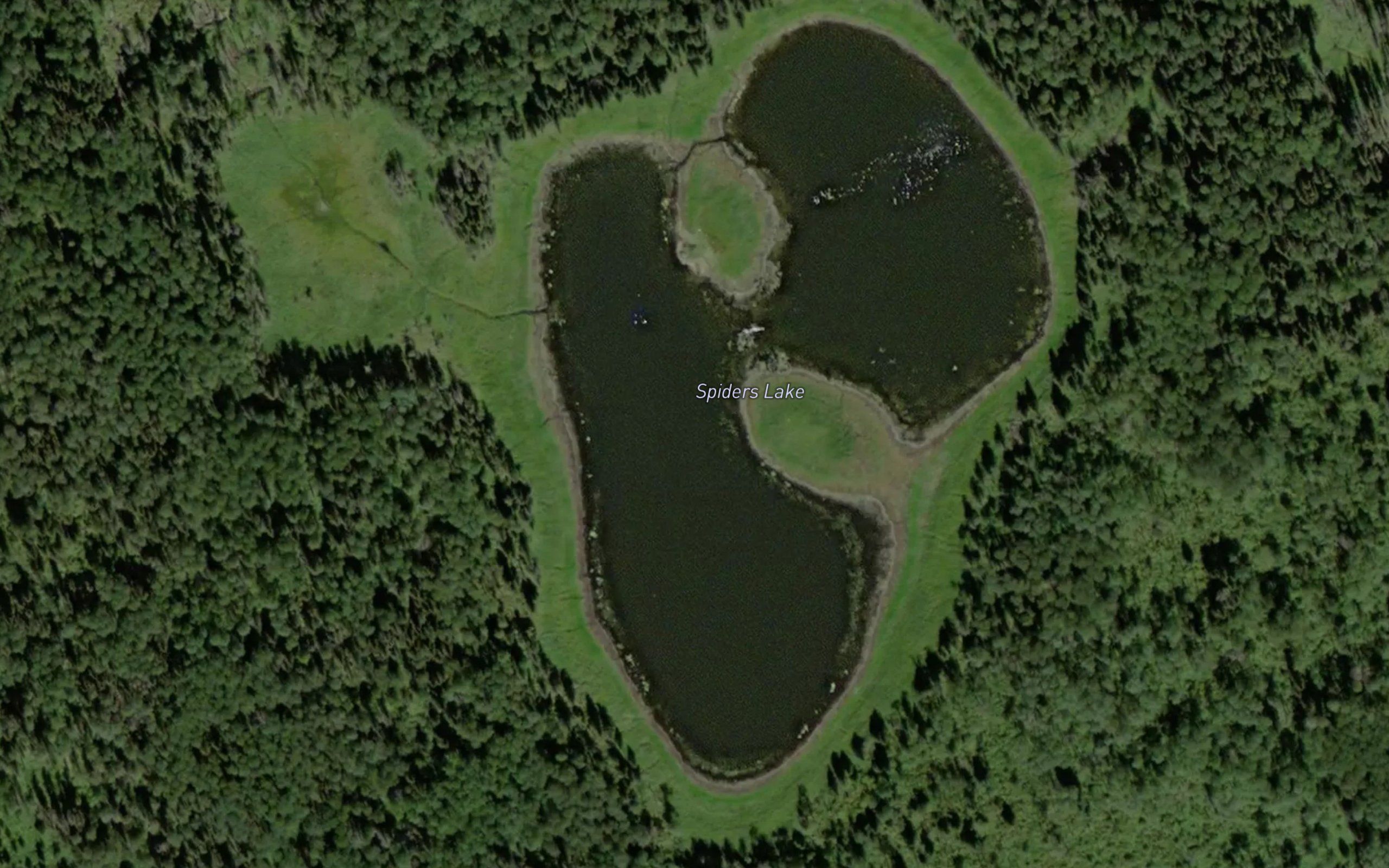 Spiders Lake