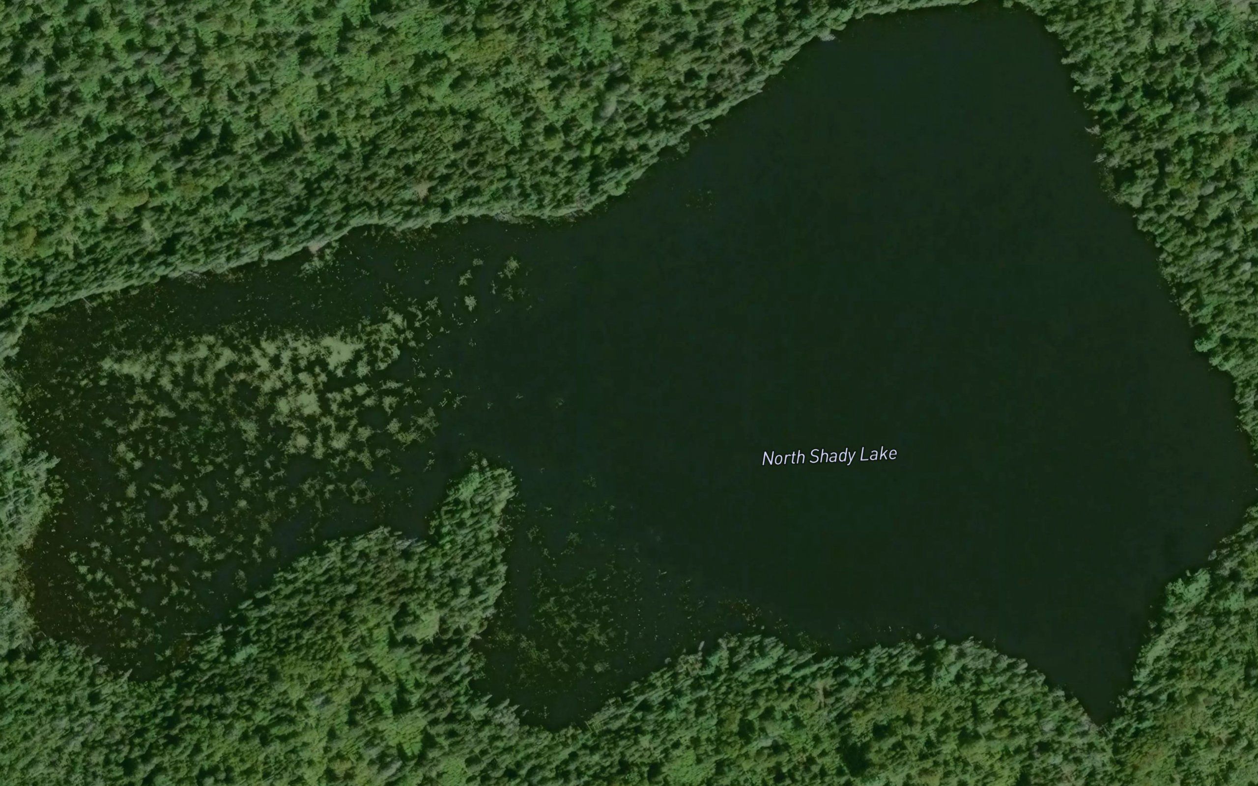 North Shady Lake