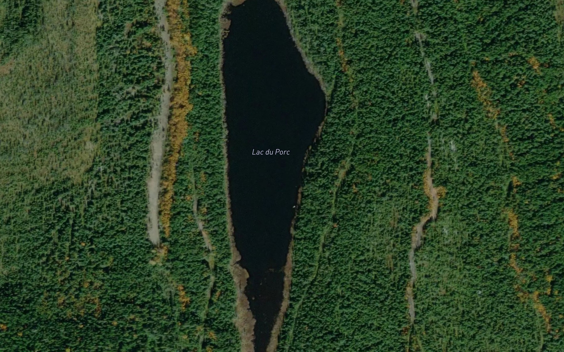 Satellite map of the Lac du Porc