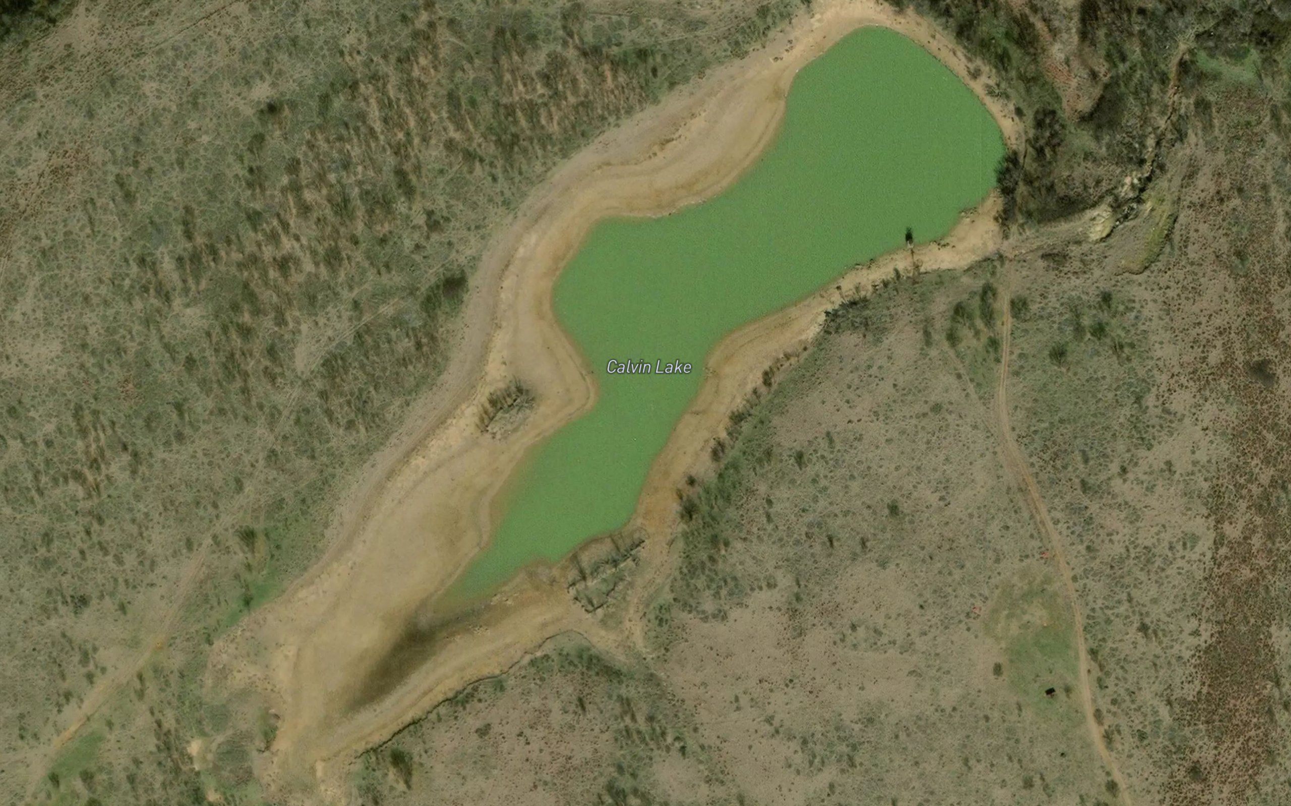 Calvin Lake