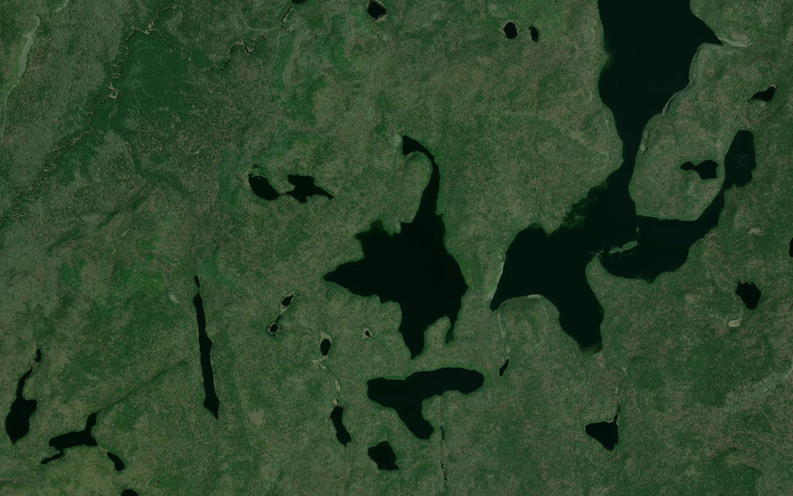 Morgan Lake