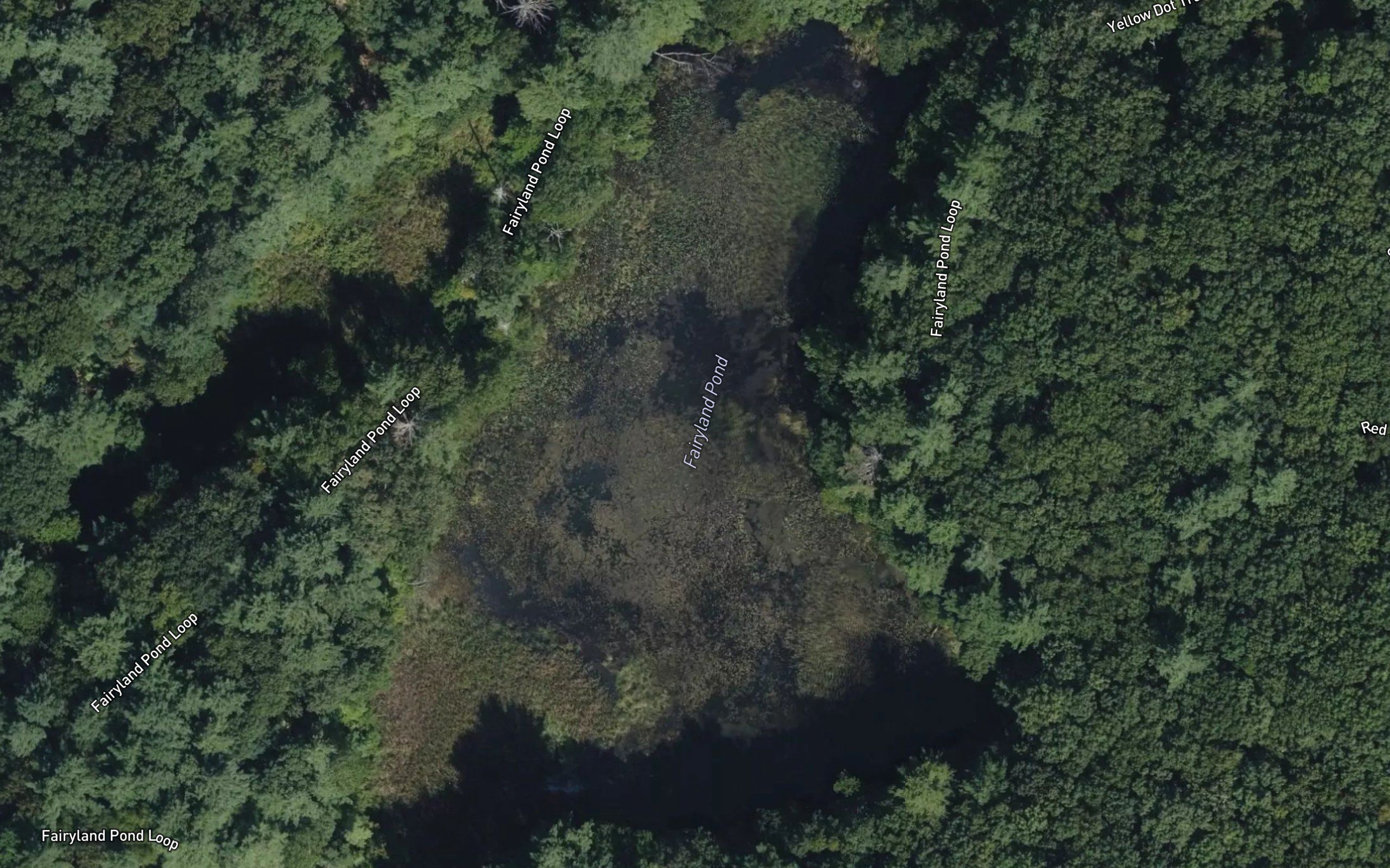 Fairyland Pond