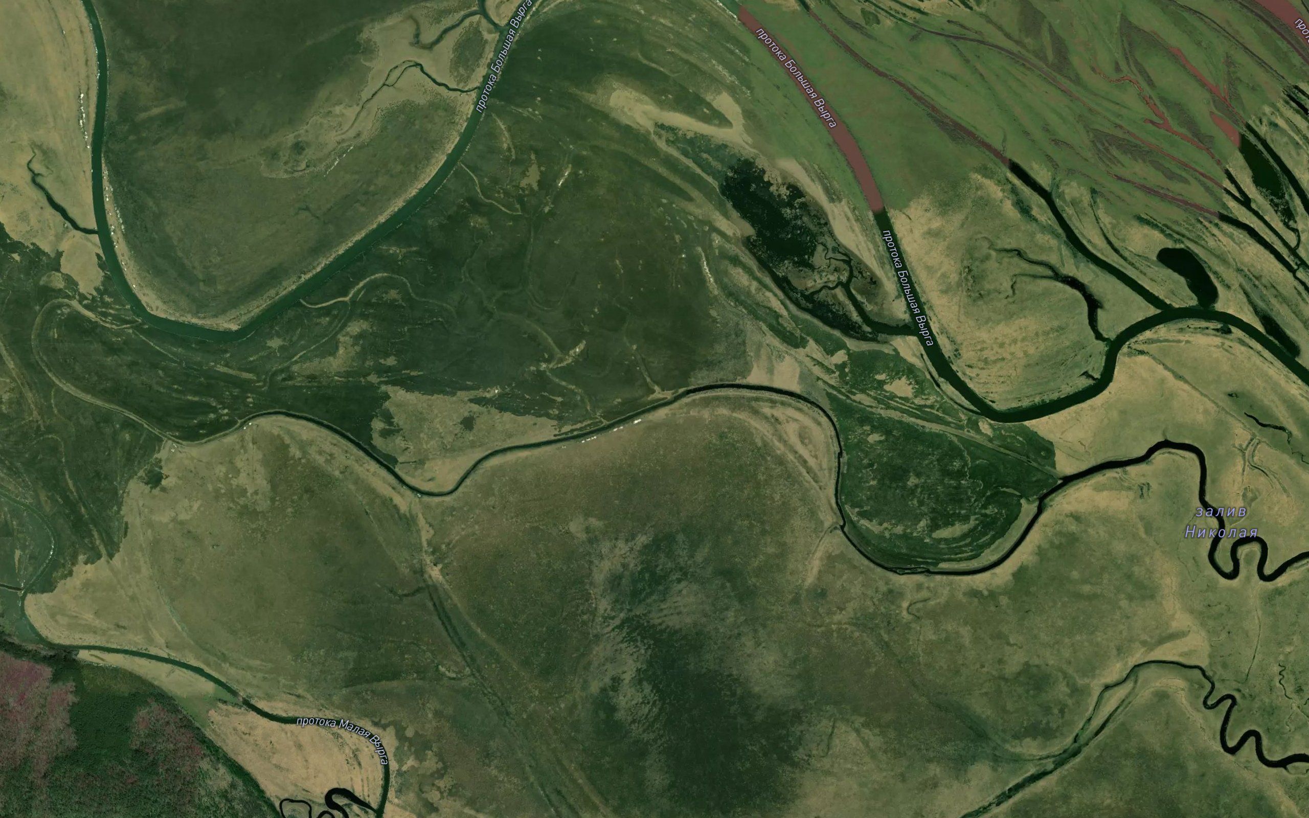 Zaliv Nikolaya