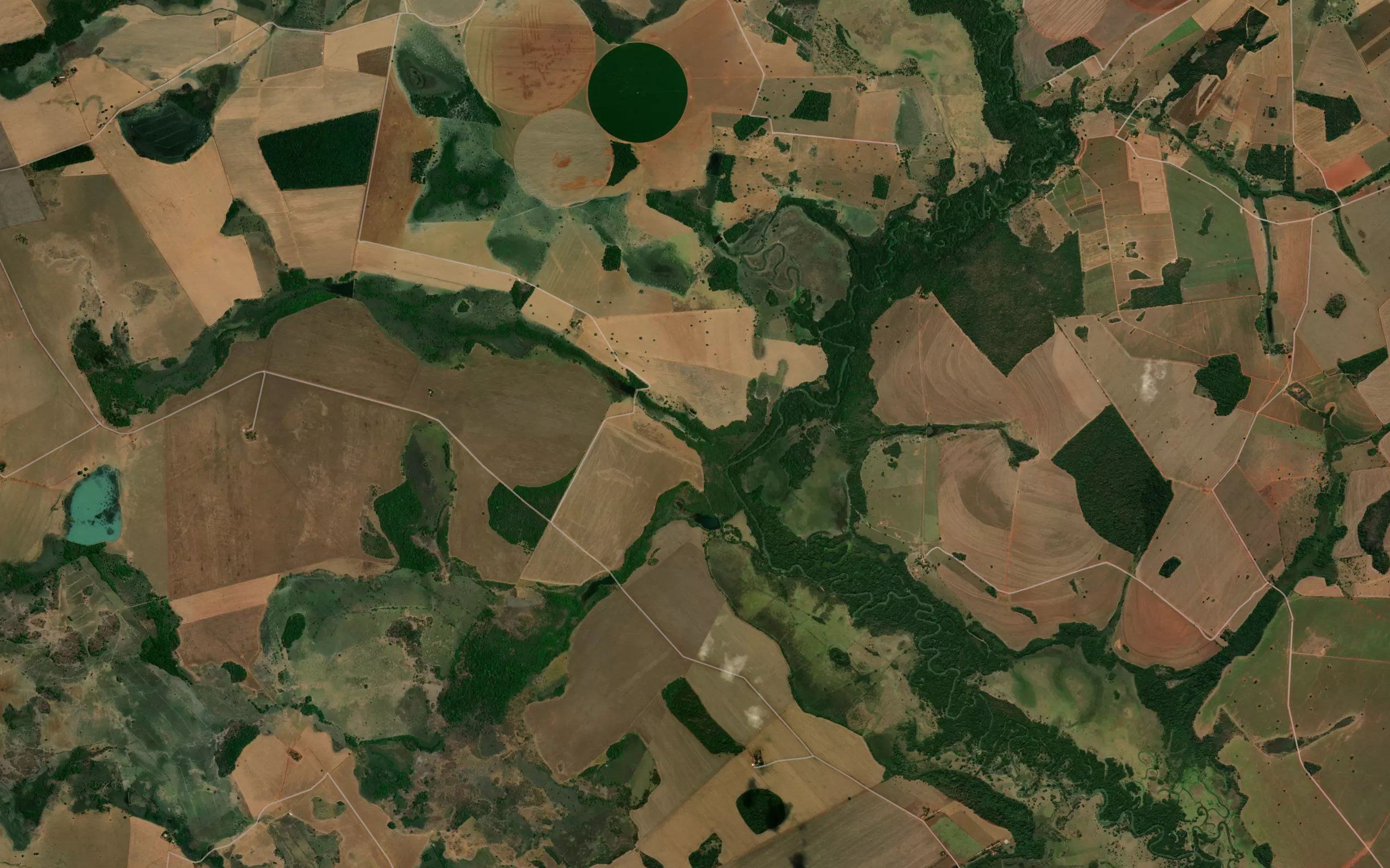 Corrego da Agua Branca