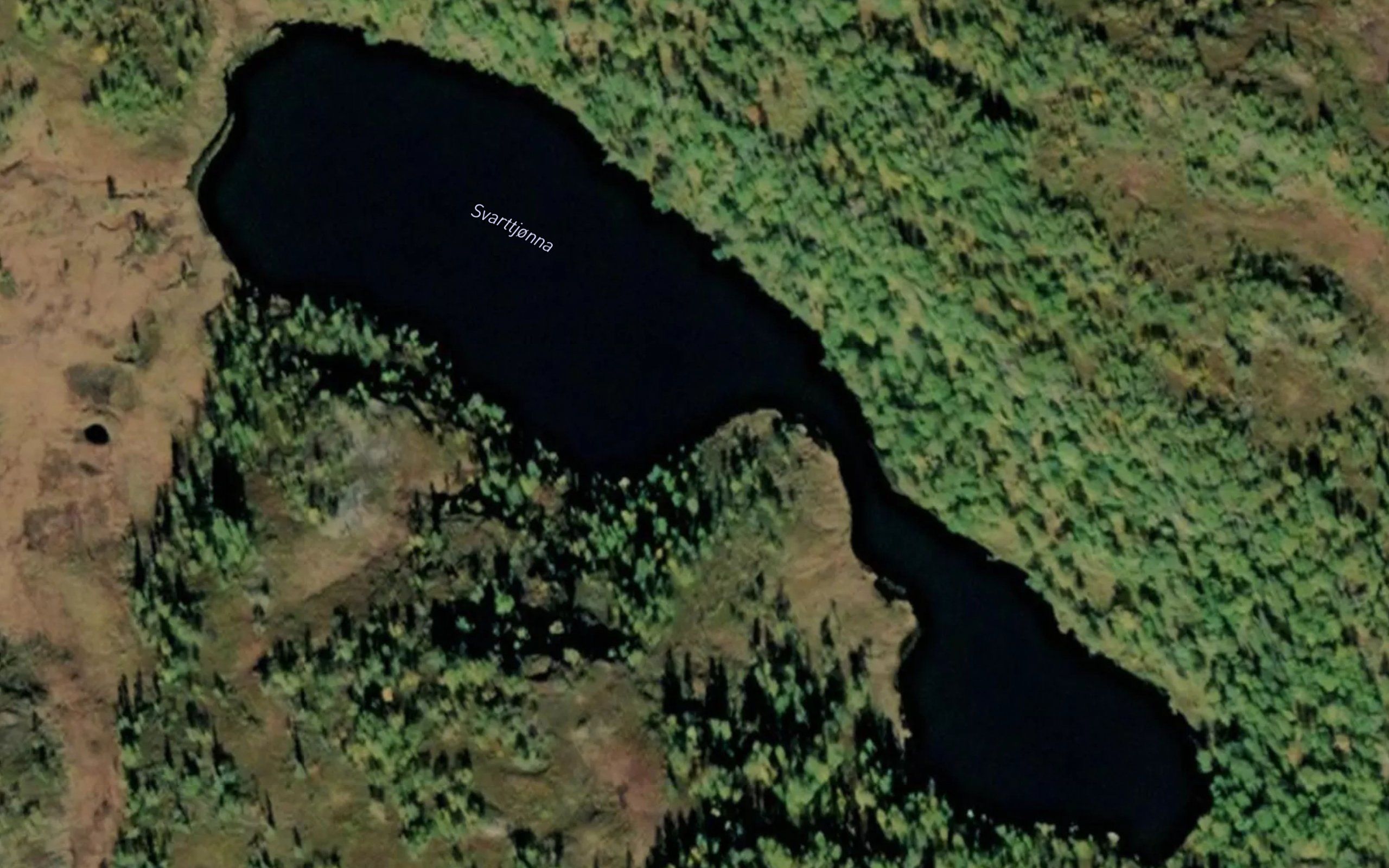 Svarttjorna