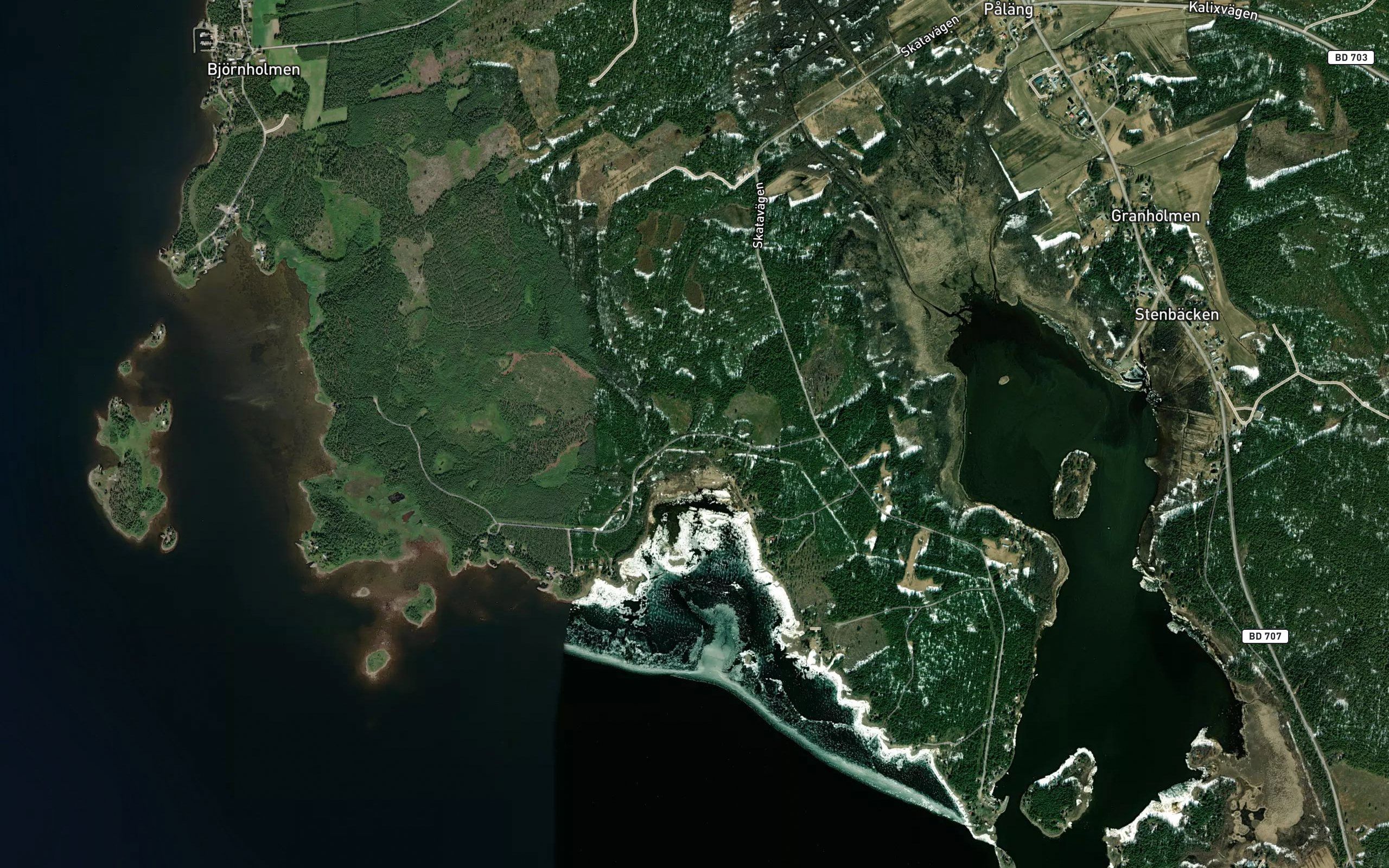 Bodviken