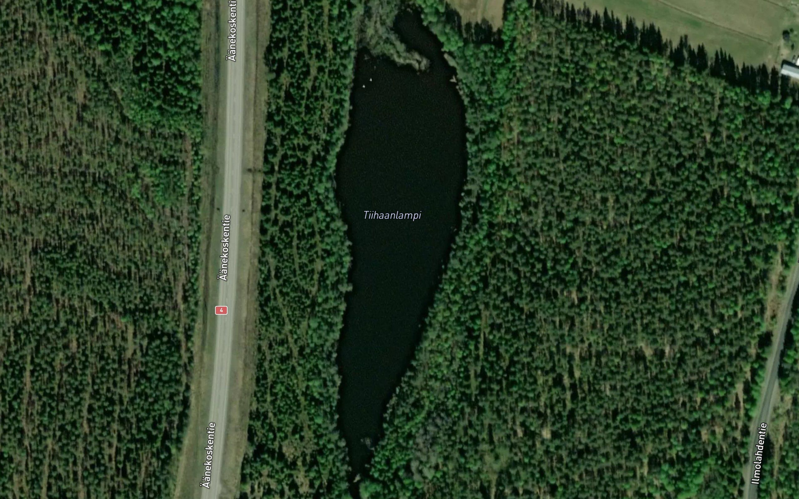 Tiihaanlampi