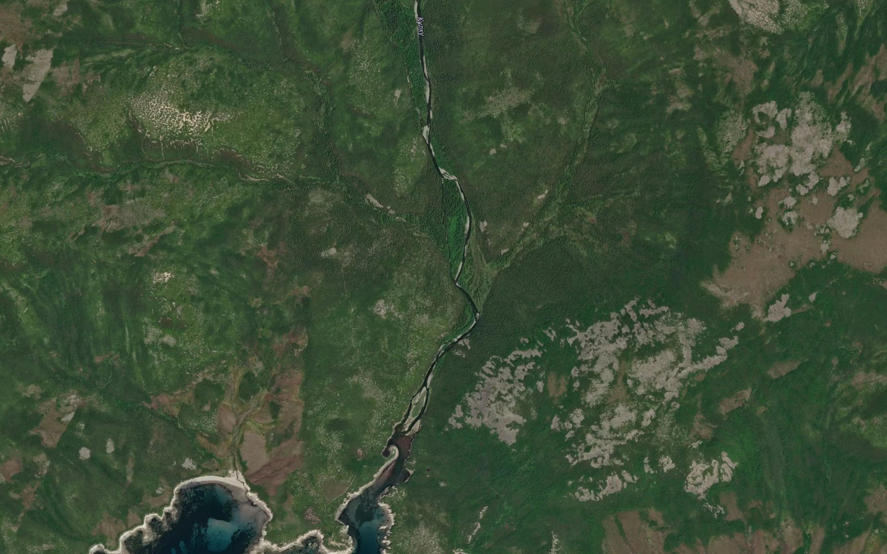 Satellite map of the Vetvistyy