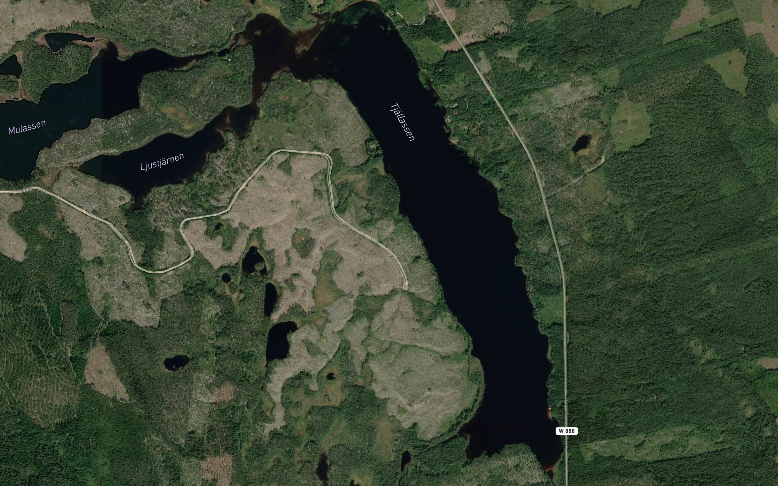 Tjallassen