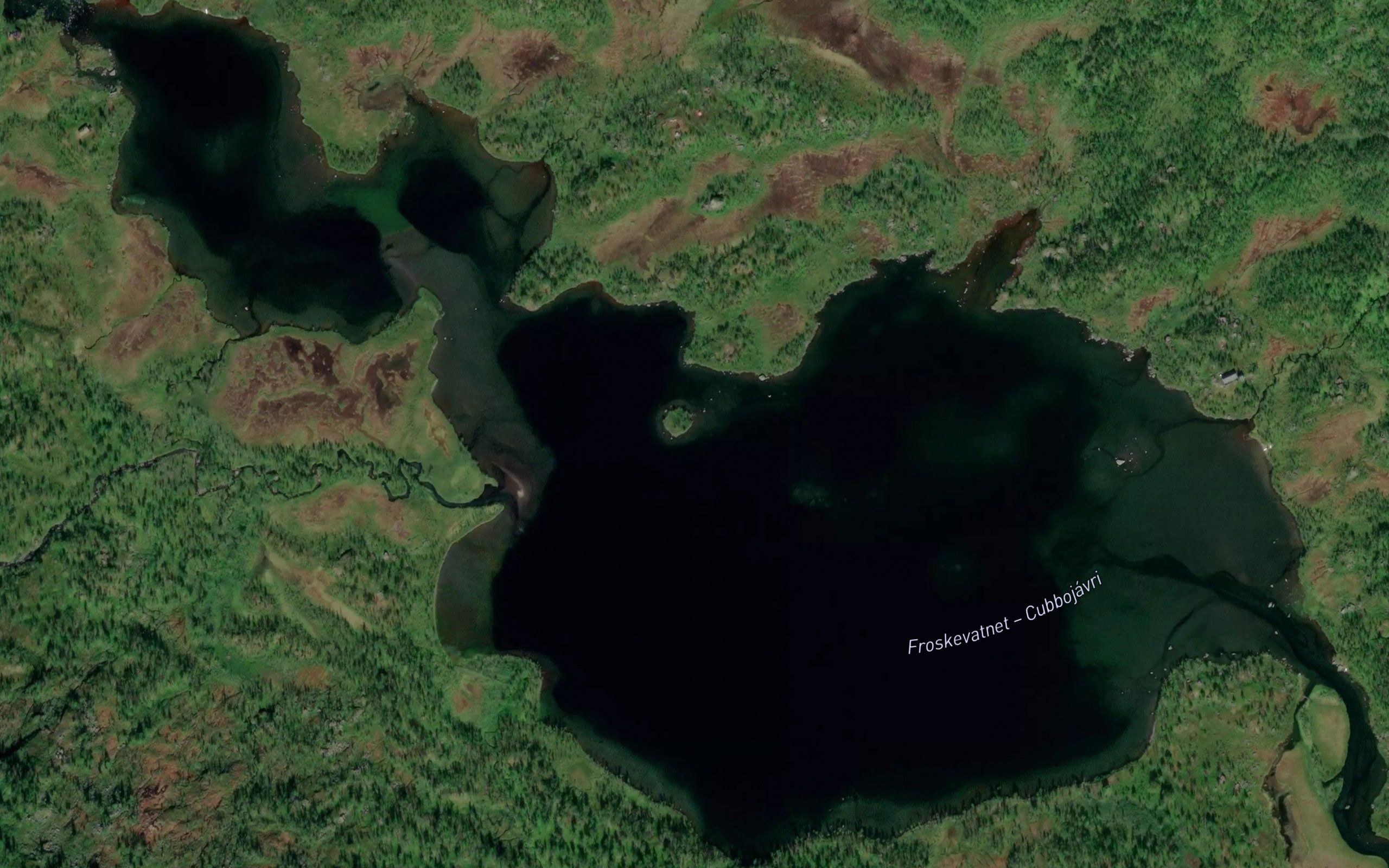 Froskvatnet