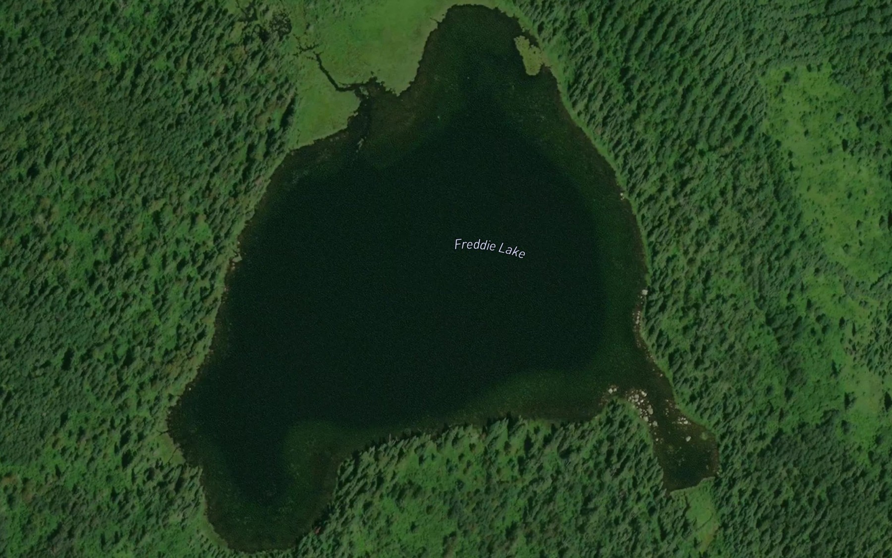 Satellite map of the Freddie Lake