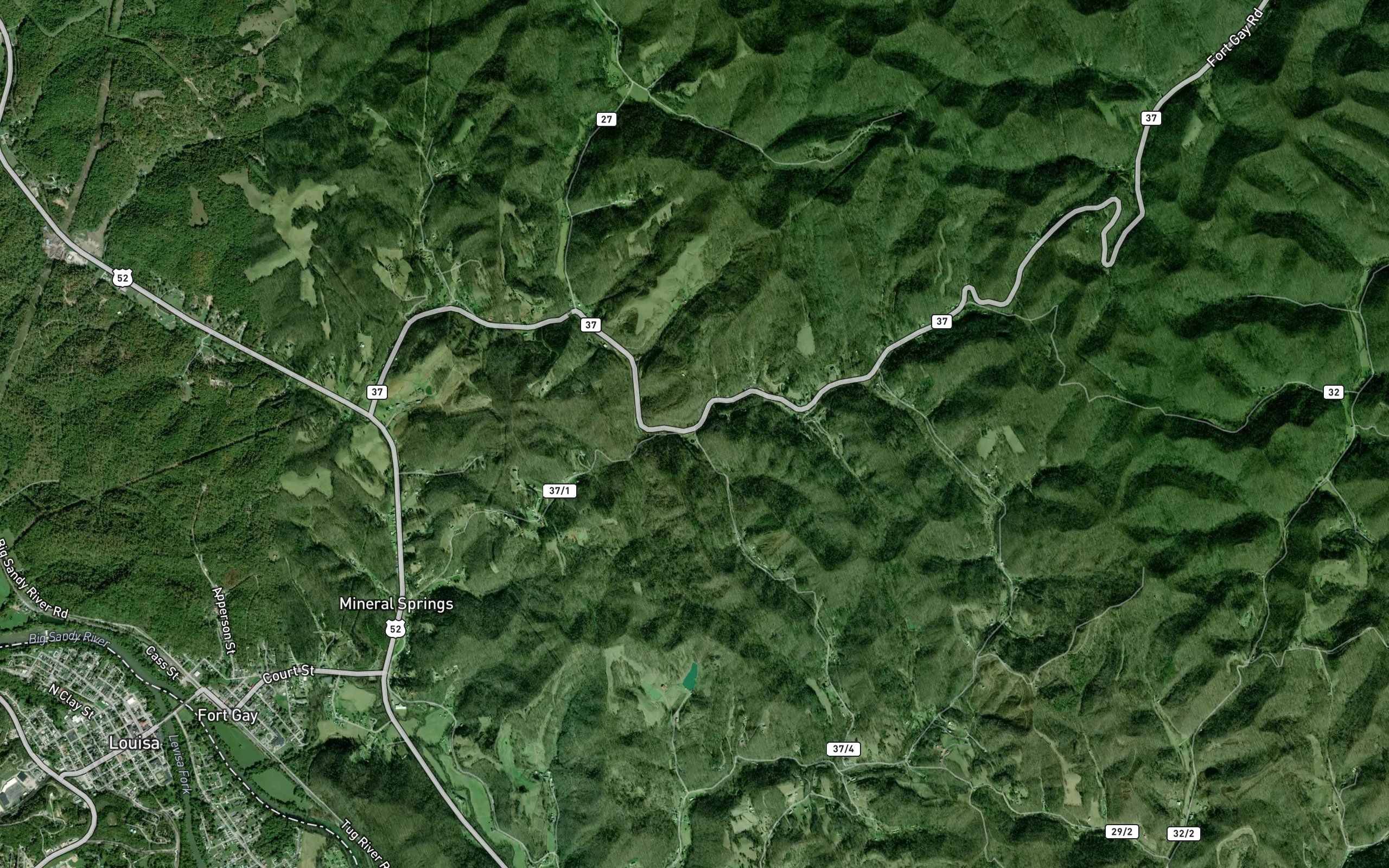 Spruce Lick