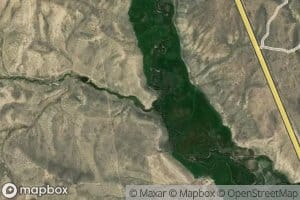 Dunning Creek