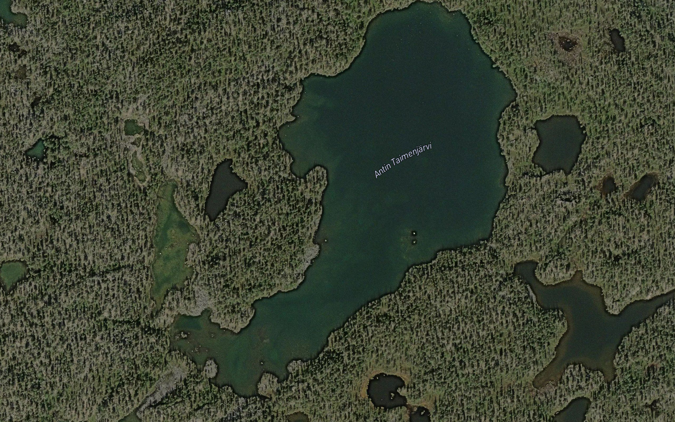 Antin Taimenjarvi