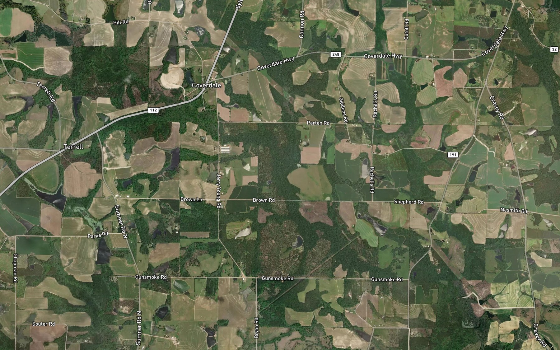 Satellite map of the Big Branch