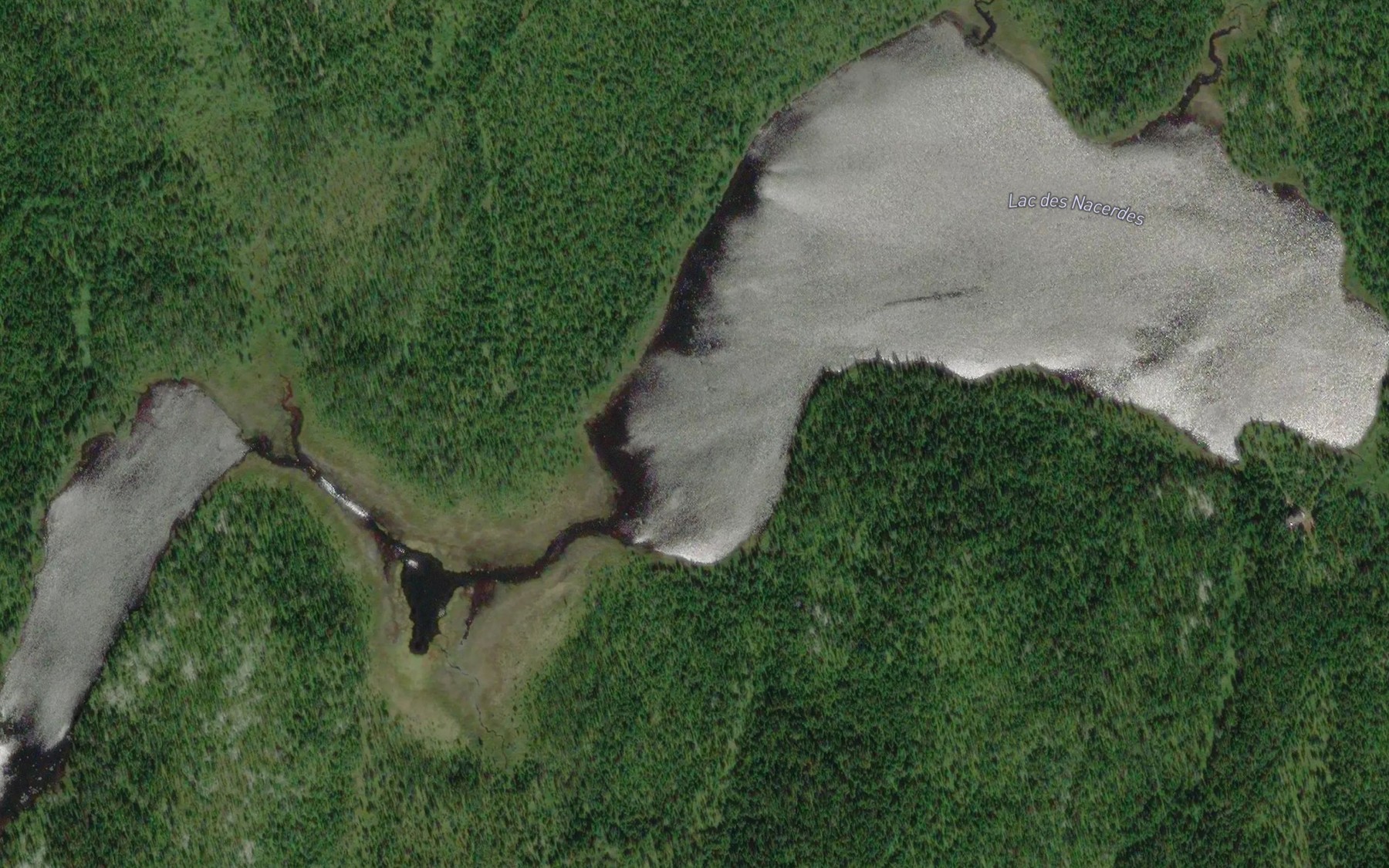 Satellite map of the Lac des Nacerdes