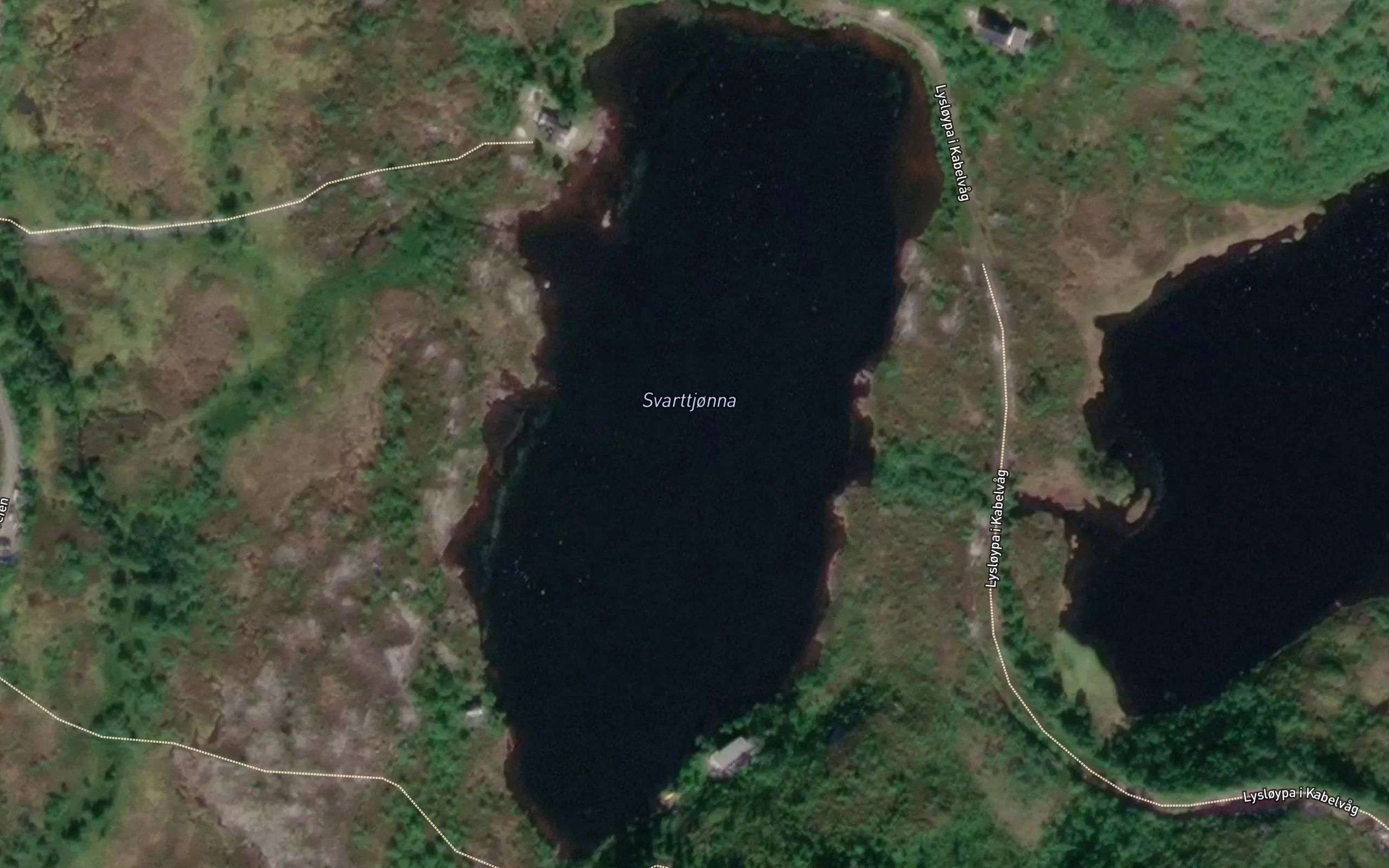 Svarttjonna