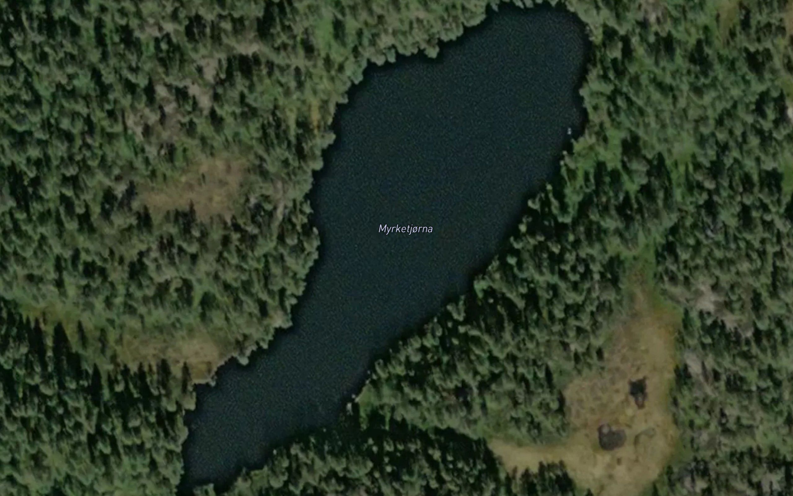 Myrketjorna