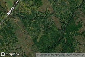 Upper North Branch Buctouche River