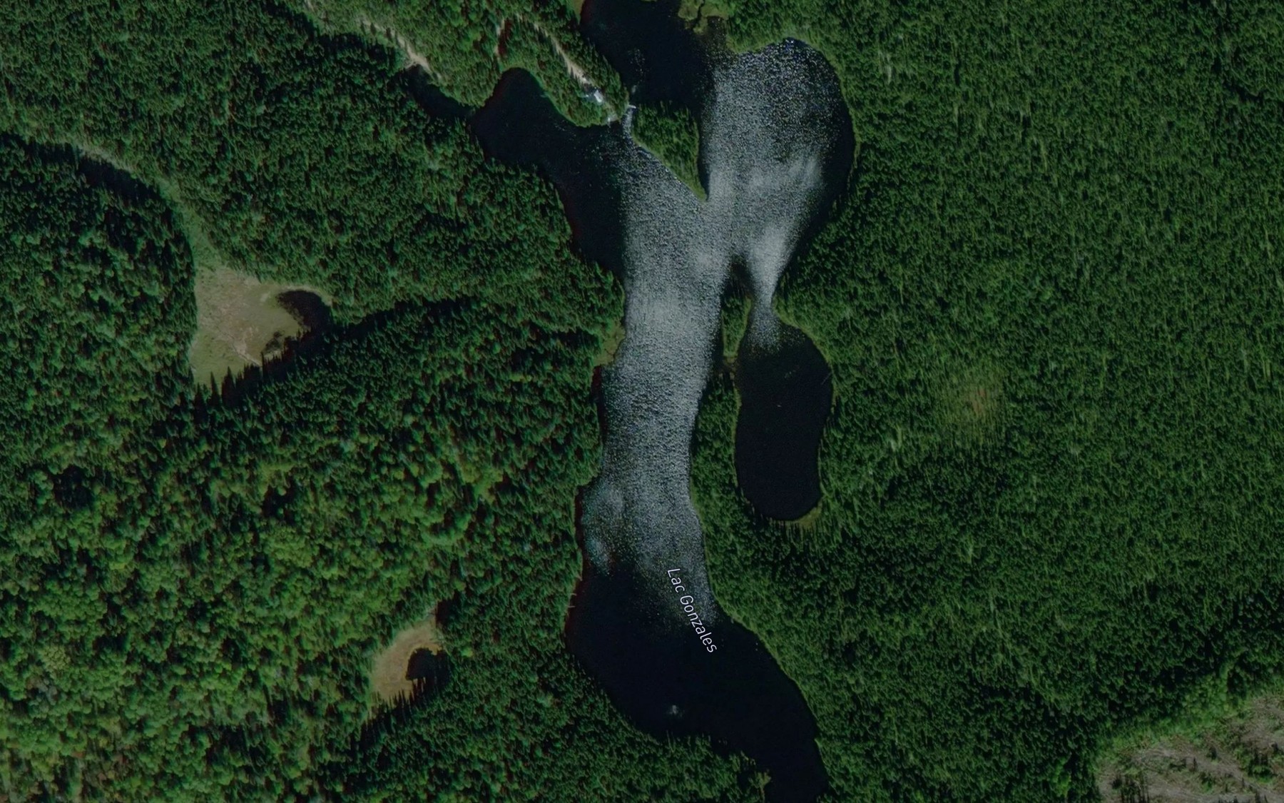 Satellite map of the Lac Gonzales