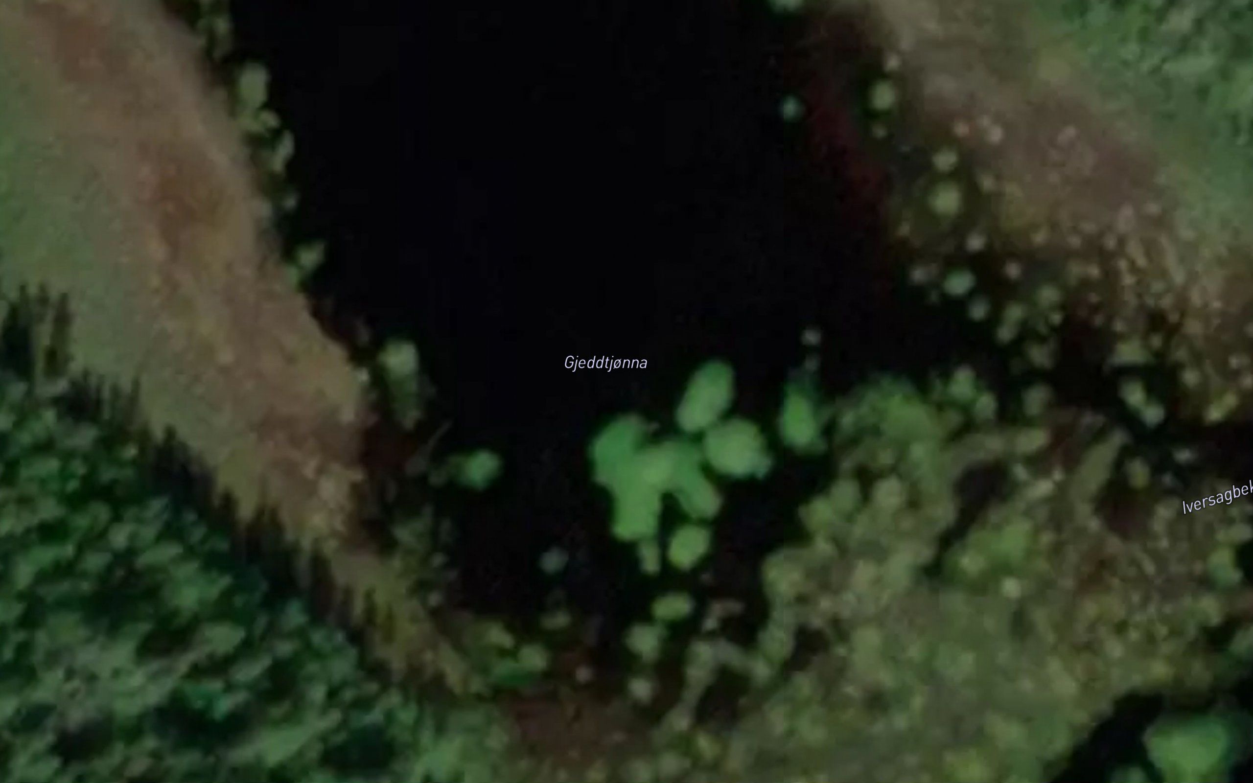 Gjeddtjonna