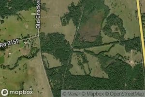 Mayes Branch