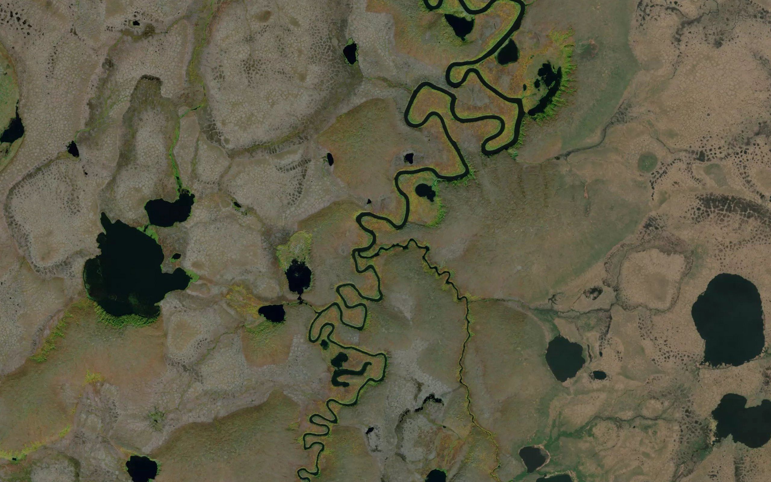 Bonanza Creek