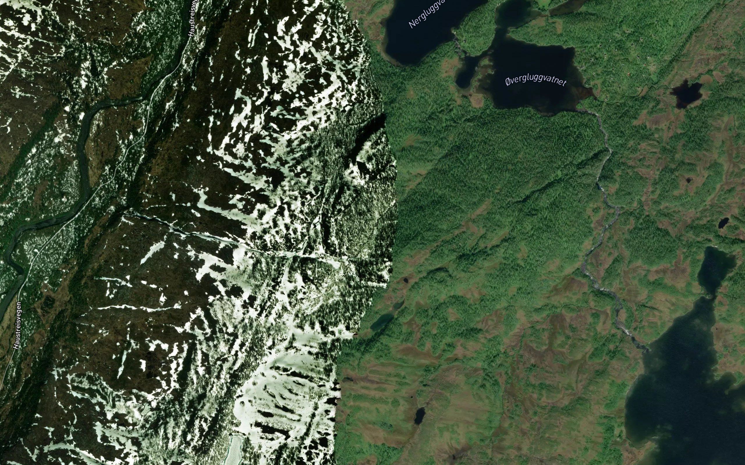 Langtjornbekken