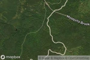 Mosquito Brook Spring