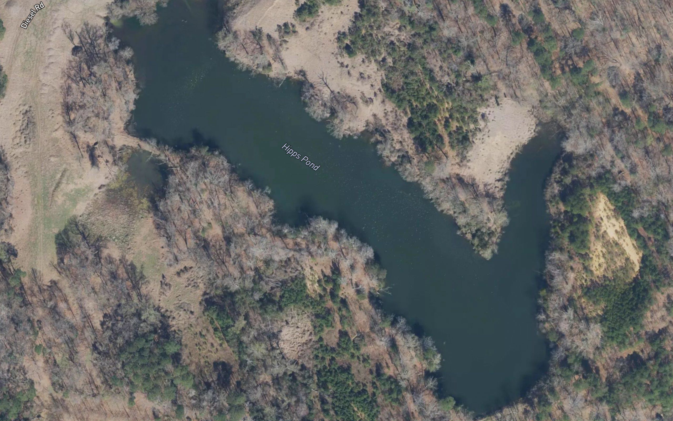 Hipps Pond