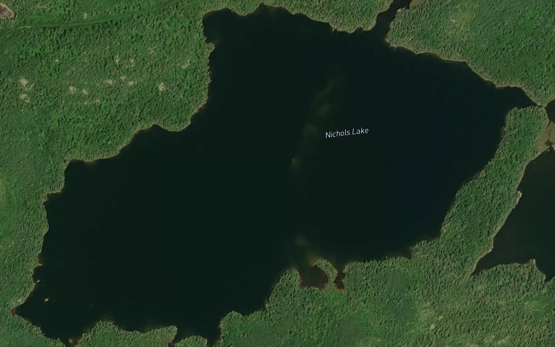 Satellite map of the Nichols Lake