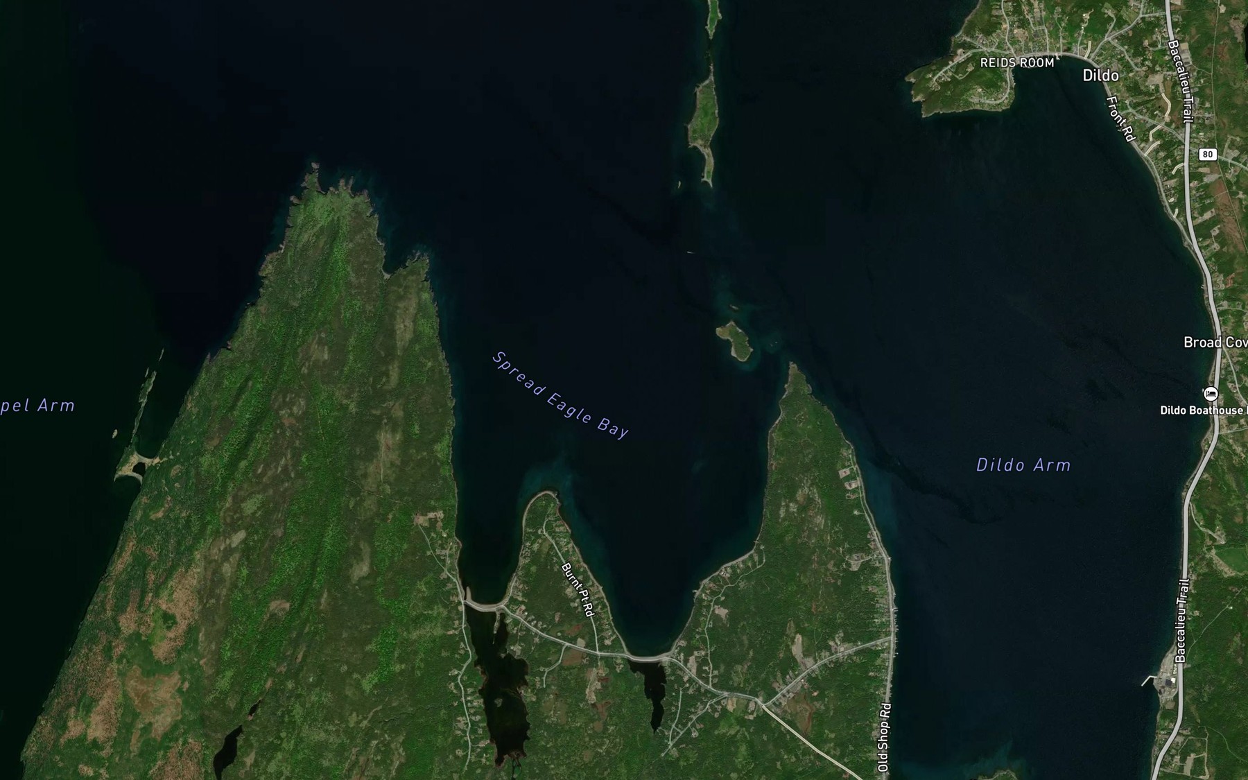 Satellite map of the Spread Eagle Bay
